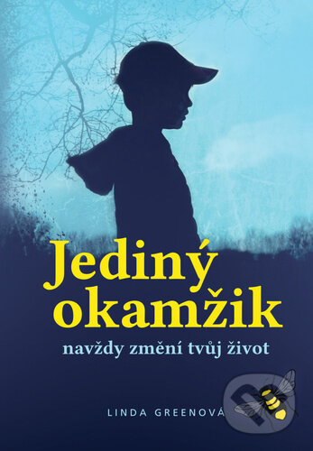 Jediný okamžik - Linda Green, Bookmedia, 2023