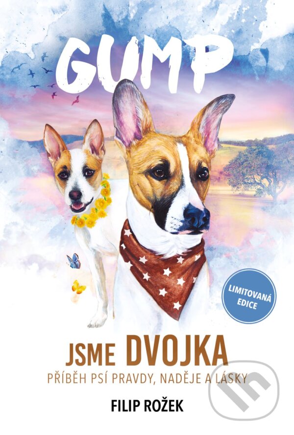 Kniha: Gump: Jsme dvojka (Filip Rožek). Kontrast, 2023