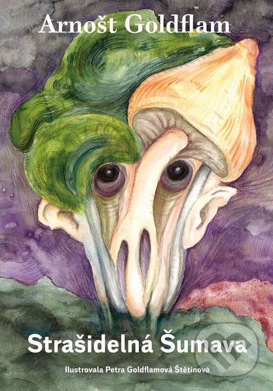 Levně Strašidelná Šumava - Arnošt Goldflam, Petra Goldflamová Štetinová (ilustrátor) - kniha z kategorie Beletria
