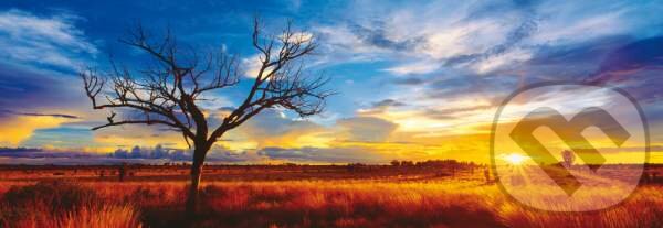 Desert Oak at Sunset, Australia - Mark Gray, Schmidt, 2016