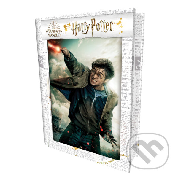 3D PUZZLE Harry Potter-Harry Potter, Trigo, 2023