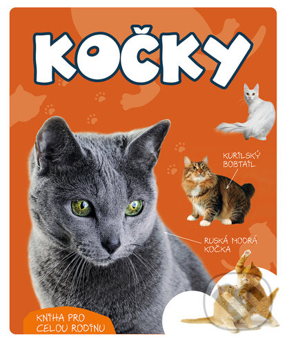 Kniha: Kočky (Marcin Jan Gorazdowski)