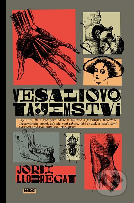 E-kniha: Vesaliovo tajemství (Jordi Llobregat). Host, 2016