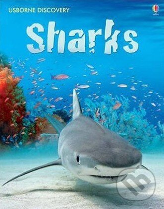 Levně Sharks - Jonathan Sheikh-Miller - kniha z kategorie Jazykové učebnice a slovníky