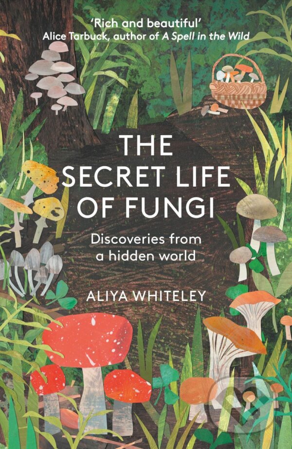 Levně The Secret Life of Fungi (Discoveries from a Hidden World) - kniha z kategorie Biológia