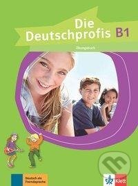 Levně Die Deutschprofis B1. Übungsbuch - Olga Swerlowa - kniha z kategorie Jazykové učebnice a slovníky
