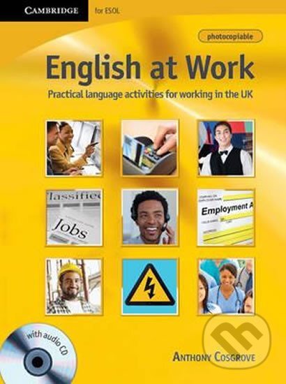 Kniha English at Work with Audio CD