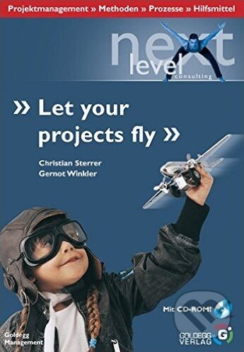 Levně Let your projects fly (Projektmanagement - Methoden - Prozesse - Hilfsmittel)