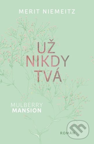 Kniha: Už nikdy tvá (Merit Niemeitz)