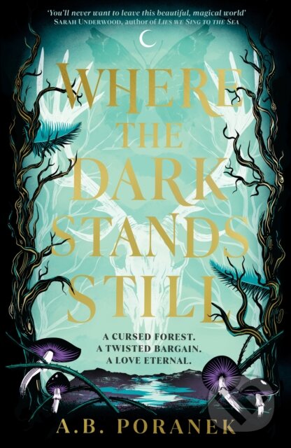 Kniha: Where the Dark Stands Still (A.B. Poranek). Penguin Books, 2024