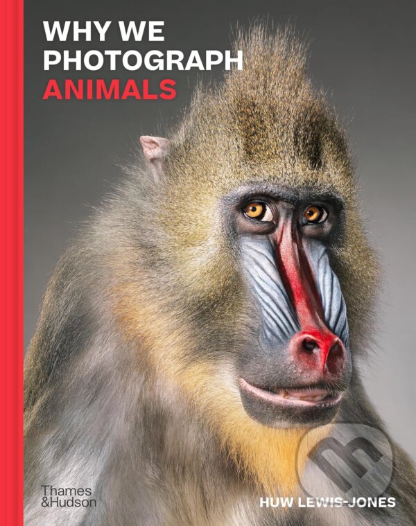 Levně Why We Photograph Animals - Huw Lewis-Jones - kniha z kategorie Fotografie