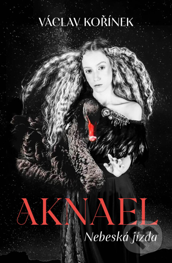 Kniha: Aknael: Nebeská jízda (Václav Kořínek)