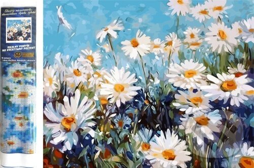 Levně Diamantové malování - Kopretiny (30x40cm)