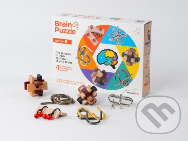 Levně RECENTTOYS Brain Puzzle - sada 6 ks - hra z kategorie Karty, hlavolamy