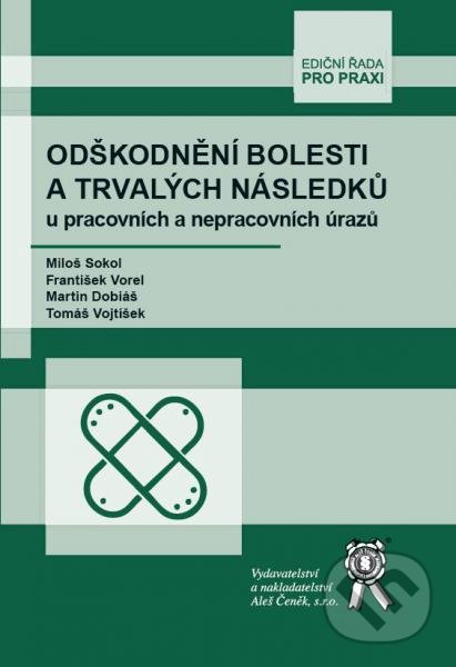 Levně Odškodnění bolesti a trvalých následků u pracovních a nepracovních úrazů - kniha z kategorie Vysoké školy