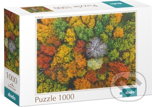 Levně Dzembronya, Ukrajina (1000 dílků) - puzzle z kategorie Mestá a stavby