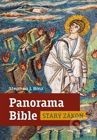 Levně Panorama Bible - Starý zákon - Stephen J. Binz - kniha z kategorie Knihy o Biblii