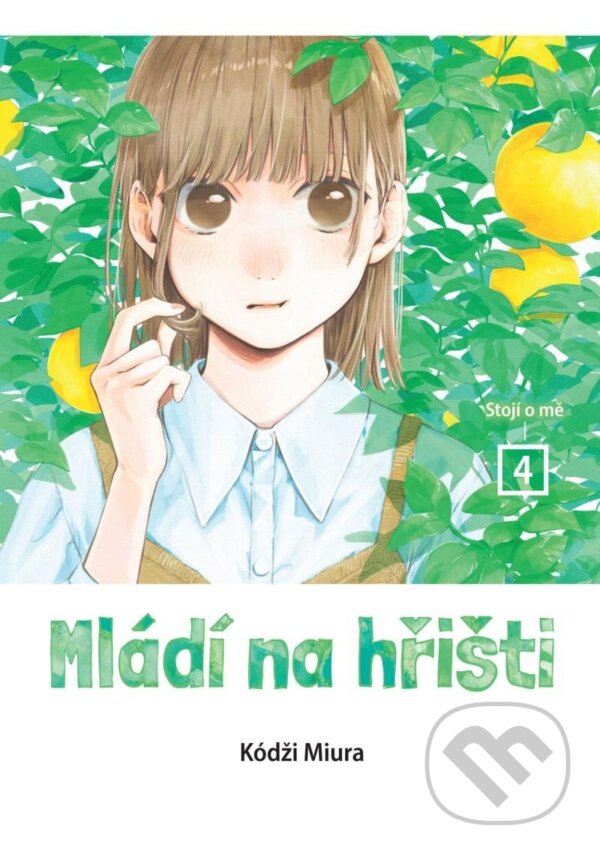 Levně Mládí na hřišti 4 - Stojí o mě - Kódži Miura - kniha z kategorie Komiksy