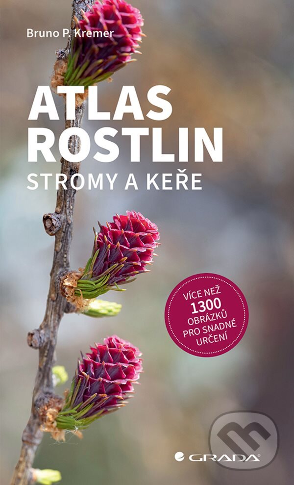 Levně Atlas rostlin - Stromy a keře - Bruno P. Kremer - kniha z kategorie Biológia