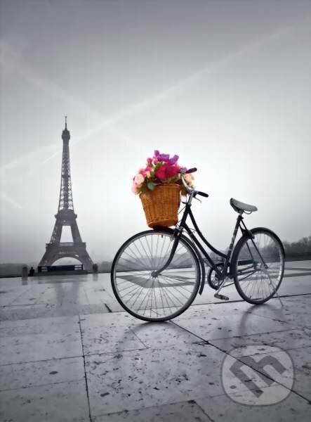 Levně Romantic promenade in Paris - puzzle z kategorie Mestá a stavby