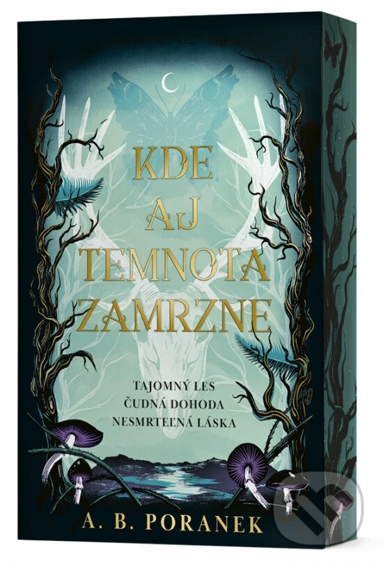 Levně Kde aj temnota zamrzne - A.B. Poranek - kniha z kategorie Fantasy