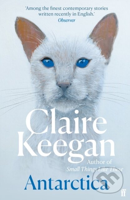 Kniha: Antarctica (Claire Keegan)