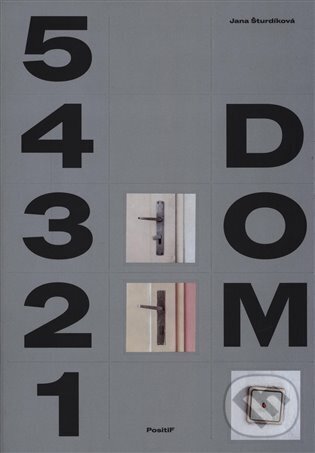 Levně DOM - Jiří Pátek - kniha z kategorie Dejiny architektúry