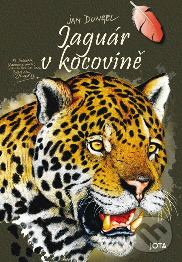 E-kniha: Jaguár  v kocovině (Jan Dungel)