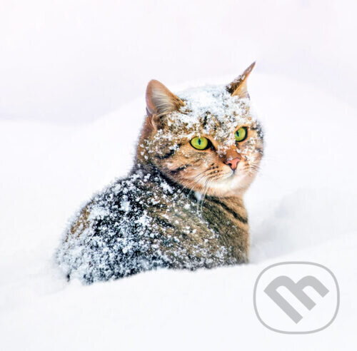 Cats 2025 - nástěnný kalendář (Helma). Helma, 2024