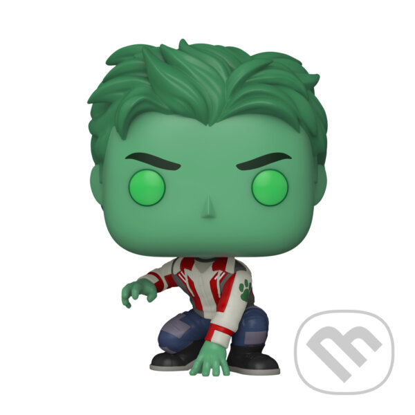 Levně Funko POP TV: Titans S1 - Beast Boy