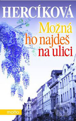 Kniha: Možná ho najdeš na ulici (Iva Hercíková). Motto, 2006
