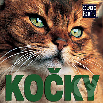Kniha: Kočky (Rebo). Rebo