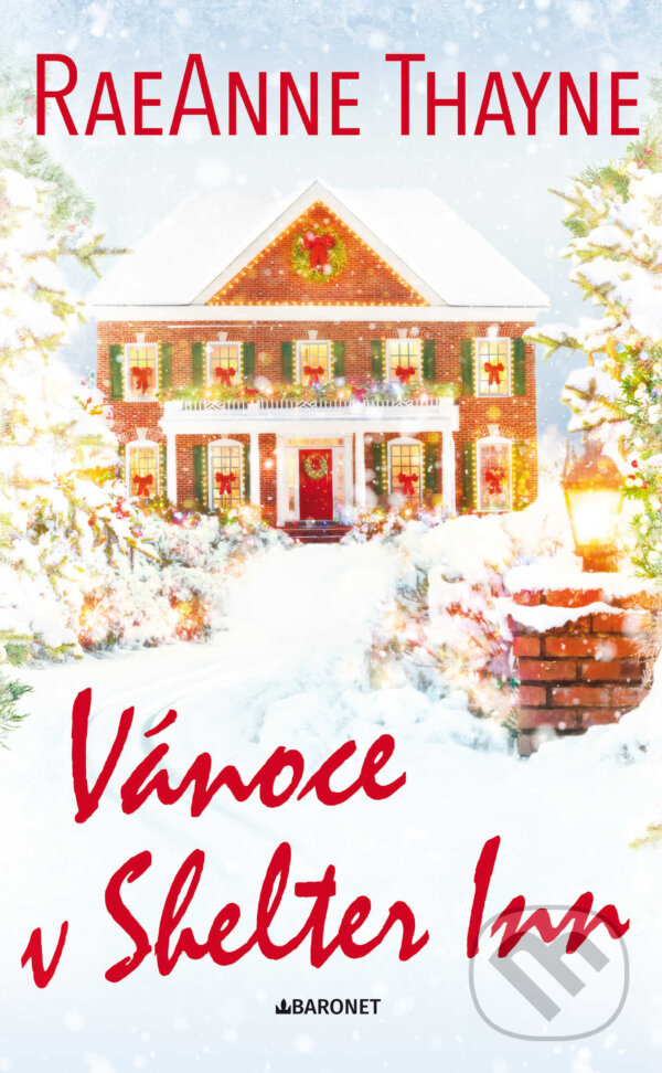 Vánoce v Shelter Inn - RaeAnne Thayne