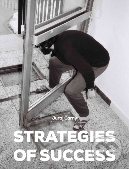 Levně Strategies of Success/Stratégie úspechu (Slovenské umenie v zbierkach zahraničných múzeí) - kniha z kategorie Maliarstvo
