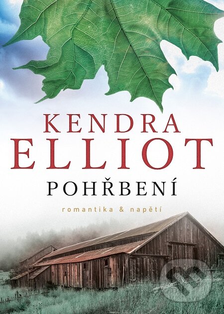 E-kniha: Pohřbení (Kendra Elliot). Mystery Press, 2017