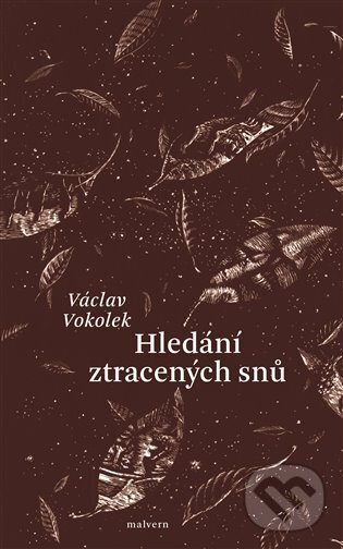 Levně Hledání ztracených snů - Václav Vokolek - kniha z kategorie Spoločenská beletria