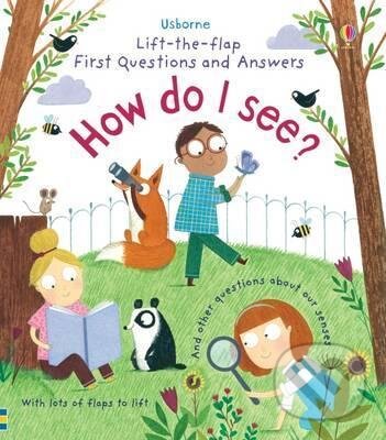 Levně How Do I See? - Katie Daynes, Christine Pym (ilustrátor) - kniha z kategorie Omaľovávanky, vystrihovanie, papier