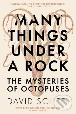 Kniha: Many Things Under a Rock: The Mysteries of Octopuses (David Scheel)