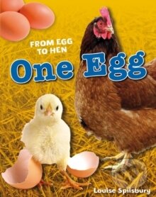 Kniha One Egg
