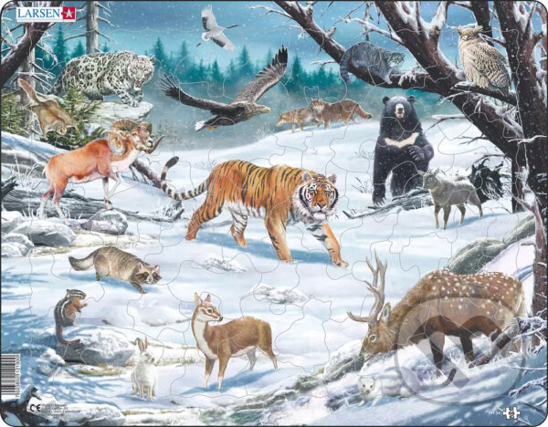 Levně Snehová tajga FH34 - puzzle z kategorie Náučné puzzle