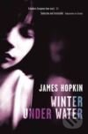 Winter Under Water - JAMES HOPKIN