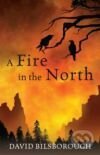 Levně Fire in the North, A - David Bilsborough