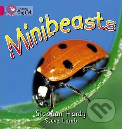 Minibeasts : Band 01a/Pink a - Siobhan Hardy