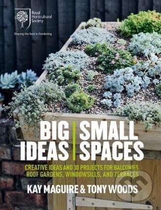 Big Ideas, Small Spaces - Kay Maguire, Mitchell Beazley, 2017