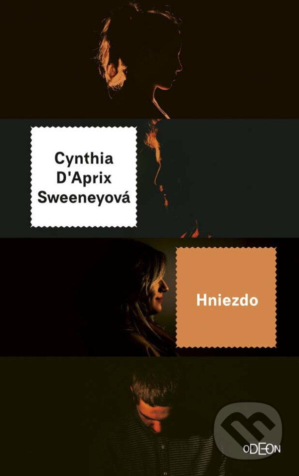E-kniha: Hniezdo (Cynthia D'Aprix Sweeney). Ikar, 2001