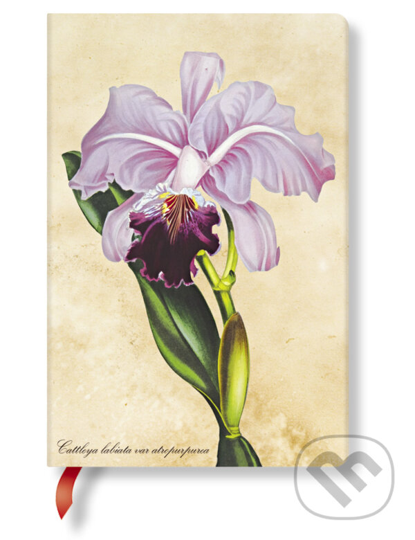 Levně Paperblanks - zápisník Brazilian Orchid (mini, linajkový)