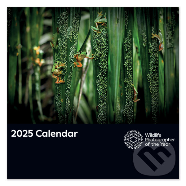 Kalendár 2025 Wildlife (Portico Designs). Portico Designs, 2024