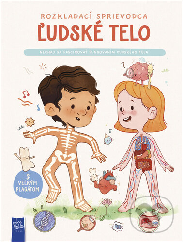 Kniha: Rozkladací sprievodca: Ľudské telo (YoYo Books). YoYo Books, 2024