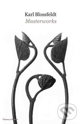 Levně Karl Blossfeldt: Masterworks - Hansjörg Küster, Ann Wilde - kniha z kategorie Životopisy