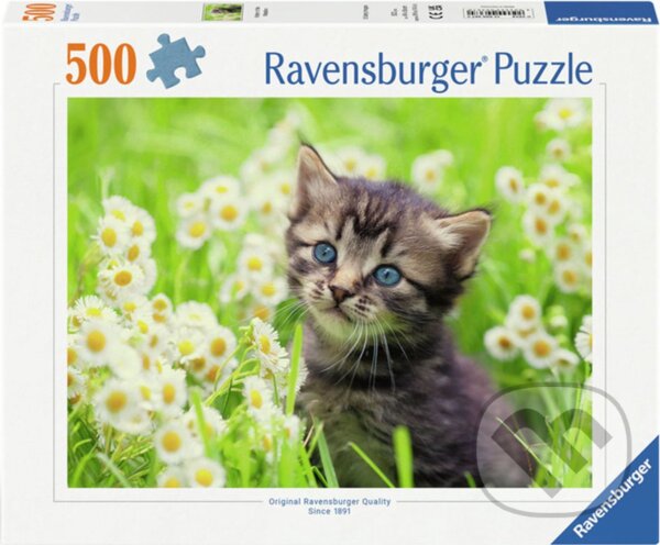 Levně Kotě na louce - puzzle z kategorie Zvieratá